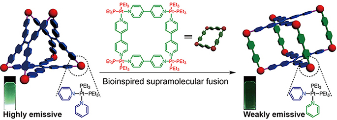 Trackable Supramolecular Fusion: Cage to Cage Transformation of Tetraphenylethylene-Based Metalloassemblies
