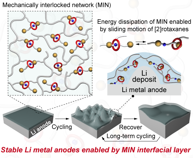 Durable Lithium Metal Anodes Enabled by Interfacial Layers Based on Mechanically Interlocked Networks Capable of Energy Dissipation