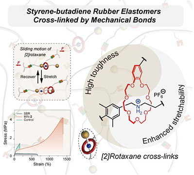 Strengthening and Toughening Styrene-butadiene Rubber by Mechanically Interlocked Cross-links
