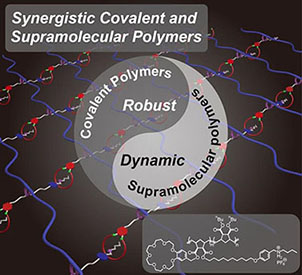 Synergistic Covalent and Supramolecular Polymers for Mechanically Robust but Dynamic Materials