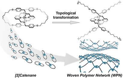 Woven Polymer Networks via the Topological Transformation of a [2]Catenane