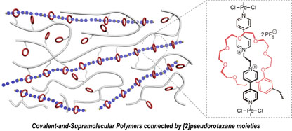Synergistic Covalent-and-Supramolecular Polymers Connected by [2]Pseudorotaxane Moieties