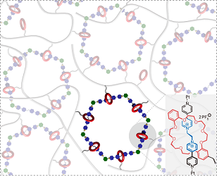 Mechanically Interlocked Networks Cross-linked by a Molecular Necklace