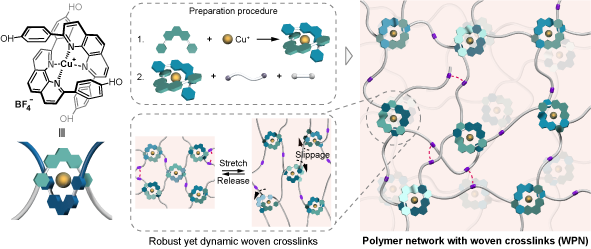 Robust and Dynamic Polymer Networks Enabled by Woven Crosslinks