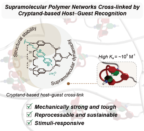 Highly Strong and Tough Supramolecular Polymer Networks Enabled by Cryptand-Based Host-Guest Recognition