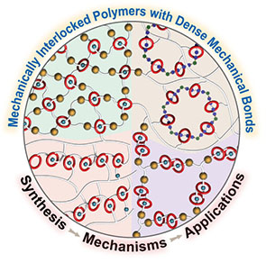 Mechanically Interlocked Polymers with Dense Mechanical Bonds