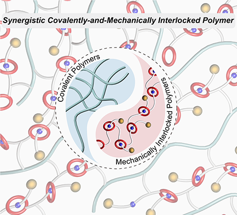 Synergistic Covalently-and-Mechanically Interlocked Polymer