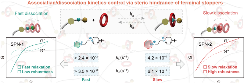 Supramolecular Dissociation as a Tool for Engineering Material Properties