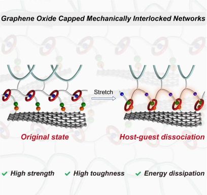 Graphene Oxide Capped Mechanically Interlocked Networks