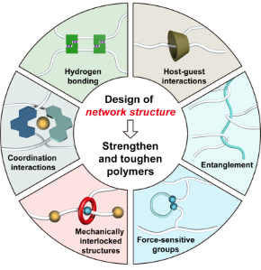 强韧化聚合物网络的结构设计策略