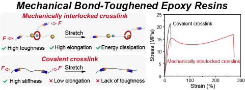 Mechanical-Bond-Toughened Epoxy Resins