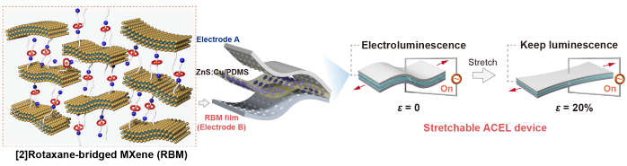 Stretchable [2]Rotaxane-Bridged MXene Films Applicable for Electroluminescent Devices