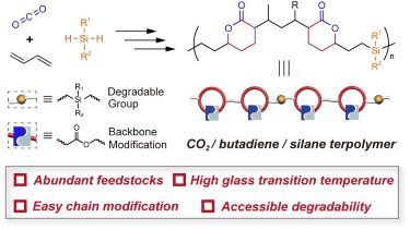 Polycarbosilanes with intact lactone ring units from CO<sub>2</sub>, butadiene, and silanes