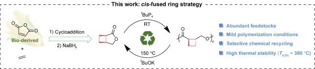 Synthesis of recyclable polyesters via a cis-fused ring strategy