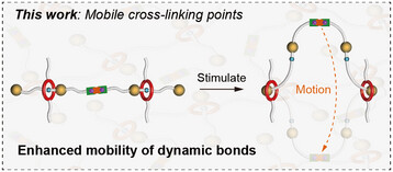Covalent Adaptable Networks with Mobile Cross-linking Points