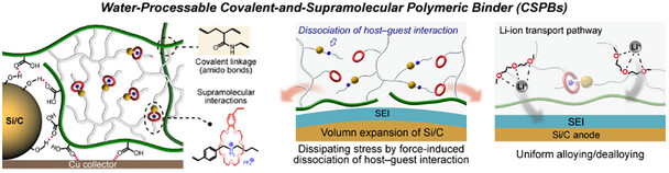 Water-Processable Covalent-and-Supramolecular Polymeric Binders for Silicon/Carbon Anodes with High Interfacial Stability in Lithium-Ion Batteries